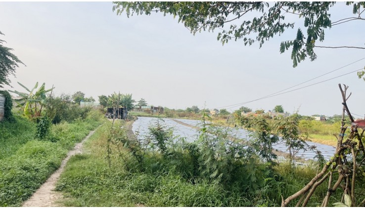 Cơ Hội Vàng! 3018m2 Đất CLN Bình Chánh, Lê Thị Dung - Chỉ 23 tỷ, Sổ Hồng, Đường 10m!